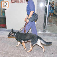 警方帶同警犬協助搜證。
