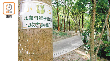 根據《野生動物保護條例》，在禁餵地點不能餵飼猴子。