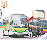 九龍城碼頭<br>多輛未領相關批註的旅巴接待旅行團，有旅巴車頭貼有「學生服務」的字樣。