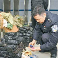 警方查獲多達一百五十公斤麻古。（互聯網圖片）
