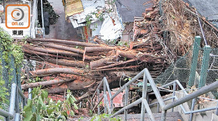 超強颱風「山竹」成為去年最熱門話題，市民批評政府的善後和應變工作差。