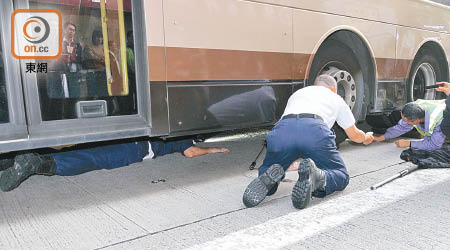 愛協人員爬入車底救貓。（郭垂垂攝）