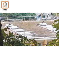 大埔濾水廠安裝四台氯氣生產機組的工程直接批予安樂工程的聯營公司，惹起公眾關注。