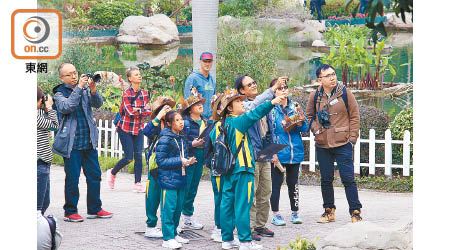 超過170位生態搜索員頭戴雀鳥帽，在香港公園比併觀鳥能力。