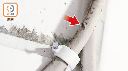 大媽工人將固定電線的牆釘釘於電線，造成電線破損（箭嘴示）。（吳艶玲攝）