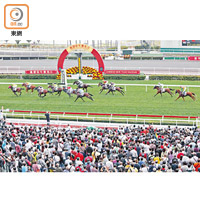 香港賽馬會昨舉行「農曆新年賽馬日」，全日共有十一場賽事。