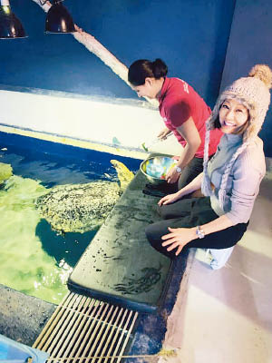 龐愛蘭（右）喺溫哥華嘅水族館落手落腳餵海龜。（互聯網圖片）