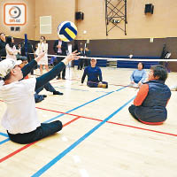 坐地輕排球適合殘疾人士參與。