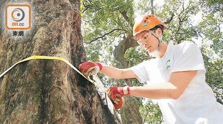目前本港樹藝業有七千多名從業員，仍欠二千多個人手。