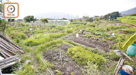 「土地共享先導計劃」用作釋放農地發展潛力。