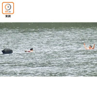 開網捕魚<br>兩名男子游到水塘中央，合力拉開魚網捕魚。