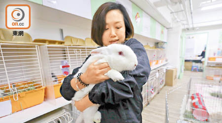 董芳宜呼籲市民養兔仔前應做好要照顧牠至少十年的心理準備。（高嘉業攝）