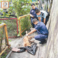 愛協人員及警員去年在九華徑調查唐狗遭虐致死事件。