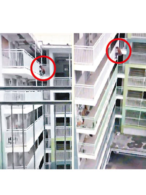 南山邨南樂樓頂層十一樓的圍欄外扮蜘蛛俠（紅圈示）上下層跳躍。（關永泰Fb）