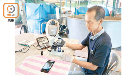 無線顯微鏡攝錄機，讓漁民可在智能手機上檢視海魚的健康情況。（胡家豪攝）