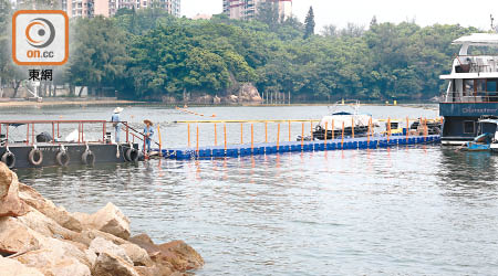 屯門青山灣泳灘旁邊驚現一條目測有逾二十米長的非法浮橋。（黃雄攝）
