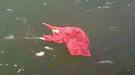 尖沙咀「五支旗杆」的五星旗昨日再被扯下並拋落海。（互聯網圖片）