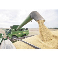 中國上月曾向美國購入大豆。（美聯社圖片）