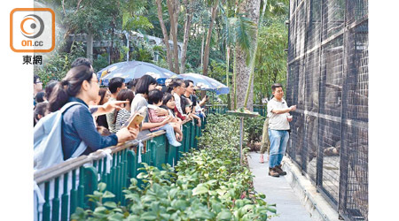 香港動植物公園的資深動物飼養員會與遊人分享照顧動物的保育工作。