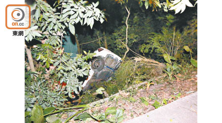 肇事私家車衝落山坡。（吳建明攝）