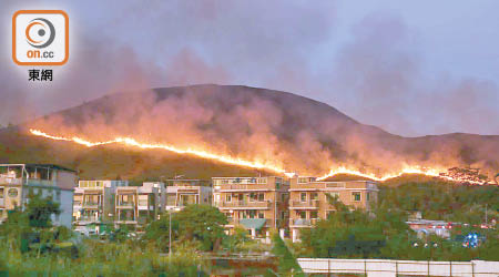 落馬洲火龍長達逾百米，火勢逼近民居。（余宏基攝）