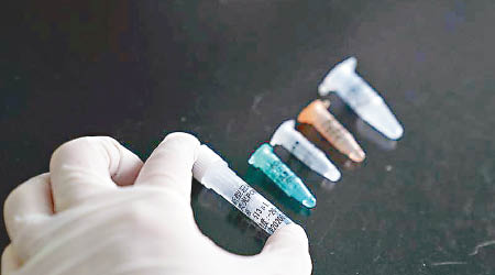 試劑用於測定疑似患者的樣本是否有新型冠狀病毒。