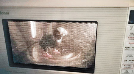 婦人在社交網站上載鸚鵡被放入微波爐的相片，遭人聲討。