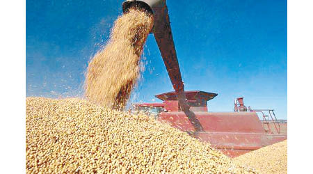 有美商透露，中國國企前日買入至少十八萬噸美國大豆。
