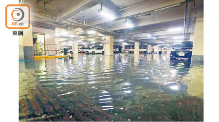 沙田：沙田瀝源邨的地下停車場，有約三分之一範圍被水覆蓋。