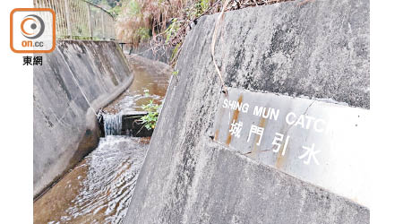 水務署去年接獲投訴，稱在城門水塘附近山坡出現大量霰彈槍的槍擊殘餘物。