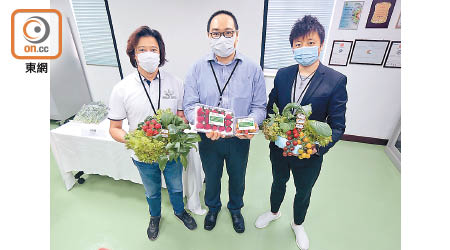 水耕種植蔬菜可為市場提供更多選擇。（李華輝攝）