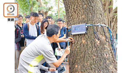 發展局推出城市林務發展基金，為有意投身樹藝及園藝業的人士提供培訓。