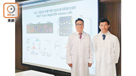 港大醫學院首次發現，Vδ2-T細胞外泌體可有效治療EB病毒引起的相關腫瘤，左為涂文偉。（李芷晴攝）