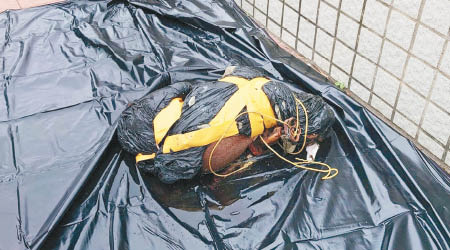 檢獲的狗屍由膠袋包裹並綑有繩子及水龍頭。