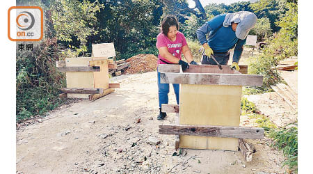 相思灣村：有地政總署外判工人到西貢相思灣村釘板，製造方形石躉。