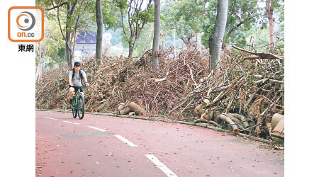 強颱風「山竹」襲港致塌樹廢物量急增。