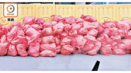 鯉魚門檢疫中心驚現大堆紅色膠袋的醫療廢物。