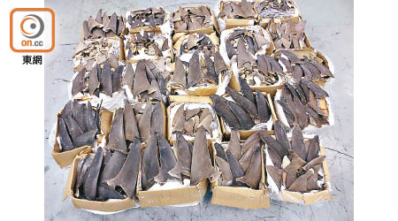 海關檢獲一批受管制屬瀕危物種的乾魚翅。