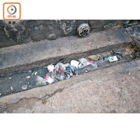 後巷渠內布滿垃圾及污水，產生大量細菌。