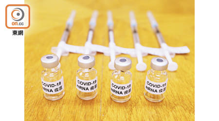 BioNTech疫苗可望在本月底前抵港。