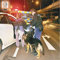 荃灣：警犬奉召到場協助。