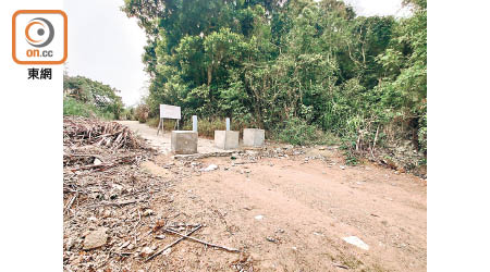 違建道路入口附近的雜草及植物被人清除。