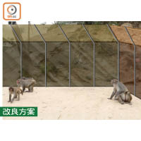 東方建議用透明膠板代替木製圍欄，並在上方加裝膠製斜台，可保護猴子並加強保安。