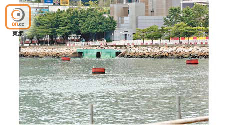 荃灣海濱對出海峽因污水嚴重污染。