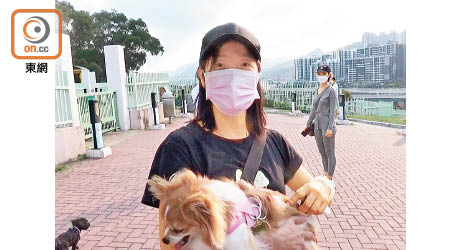 帶寵物到公園的黃太指，夏天蠓患嚴重。