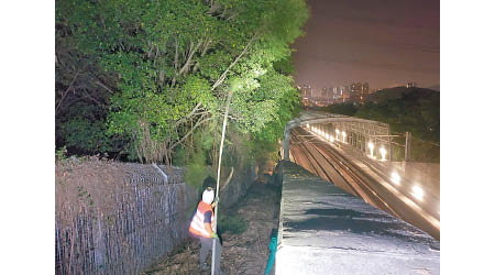 港鐵樹木管理團隊已加強巡查及修剪重鐵露天路段沿線的樹木。