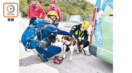 搜救犬不時協助攀山拯救。