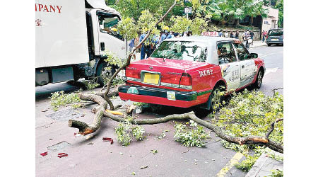 的士及貨車被塌落樹椏擊中。