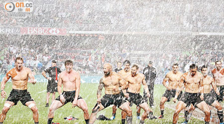 就算落大雨新西蘭球員都興奮得剝晒衫跳Haka舞慶祝。