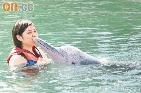新加坡明星海豚又攬又錫圖片1
